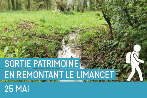 Lire la suite à propos de l’article En remontant le Limancet