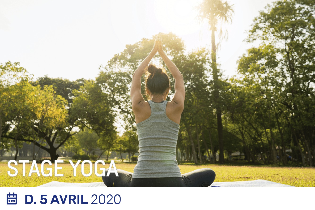 Lire la suite à propos de l’article Stage Yoga