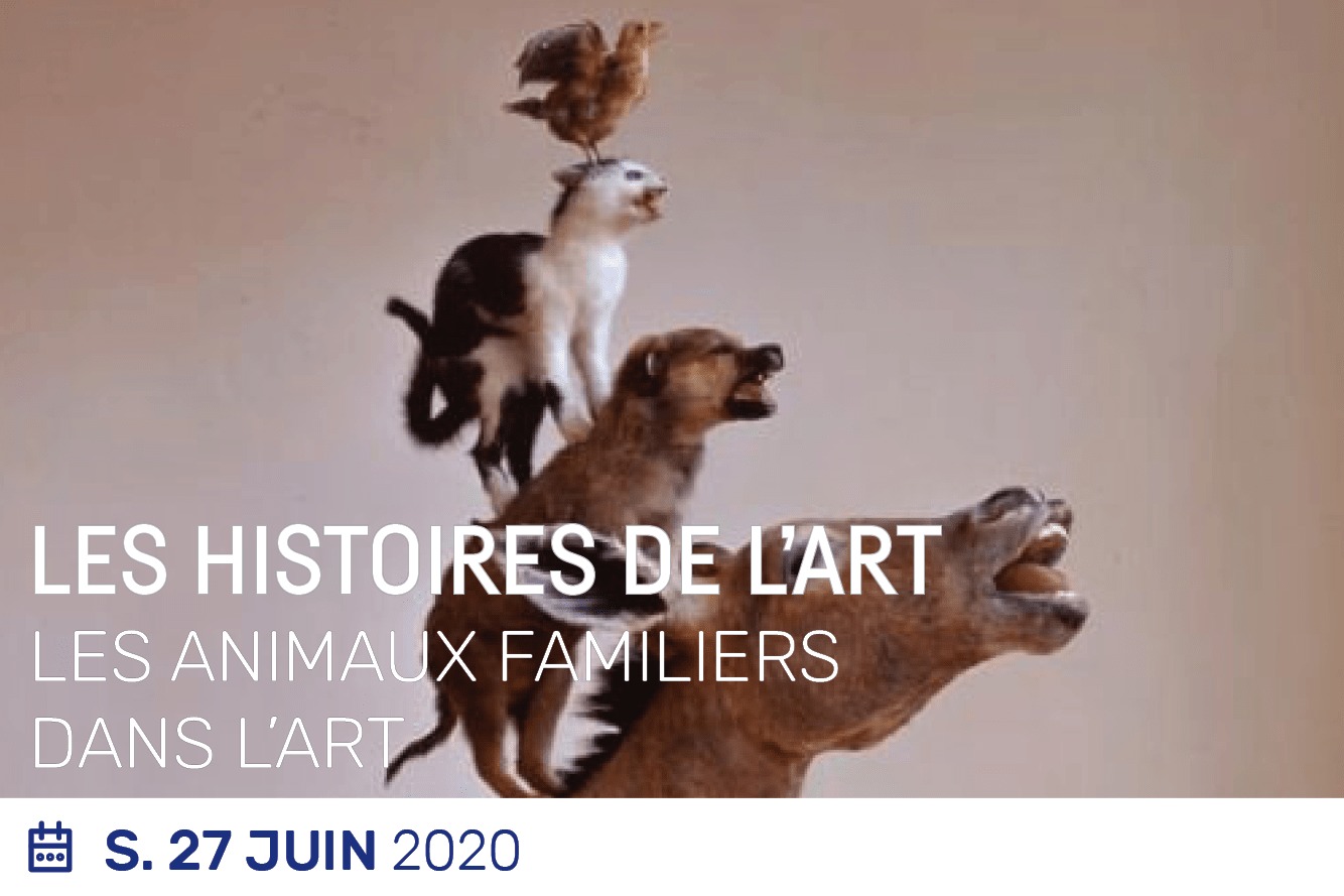 Lire la suite à propos de l’article Les histoires de l’art