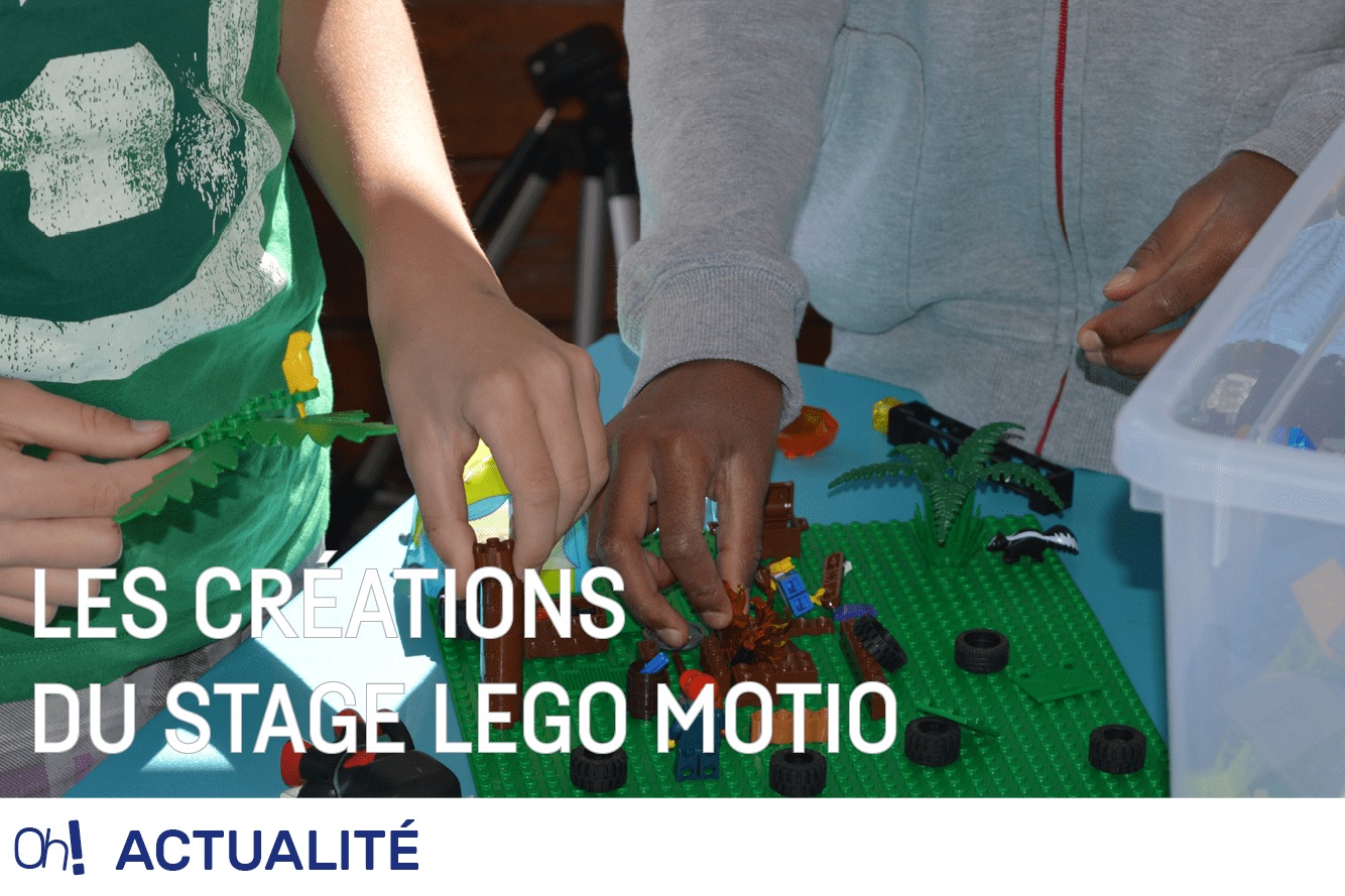 Lire la suite à propos de l’article Les créations du stage Lego Motion