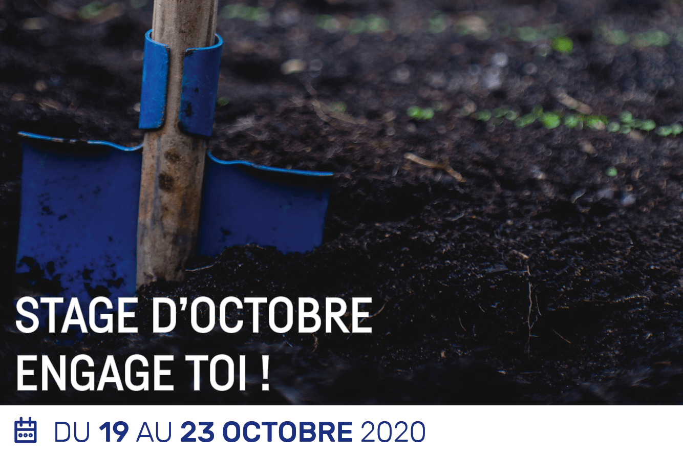 Lire la suite à propos de l’article Stage Engage toi !