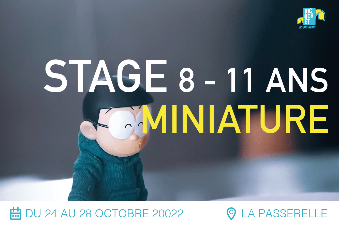 Lire la suite à propos de l’article Stage miniature