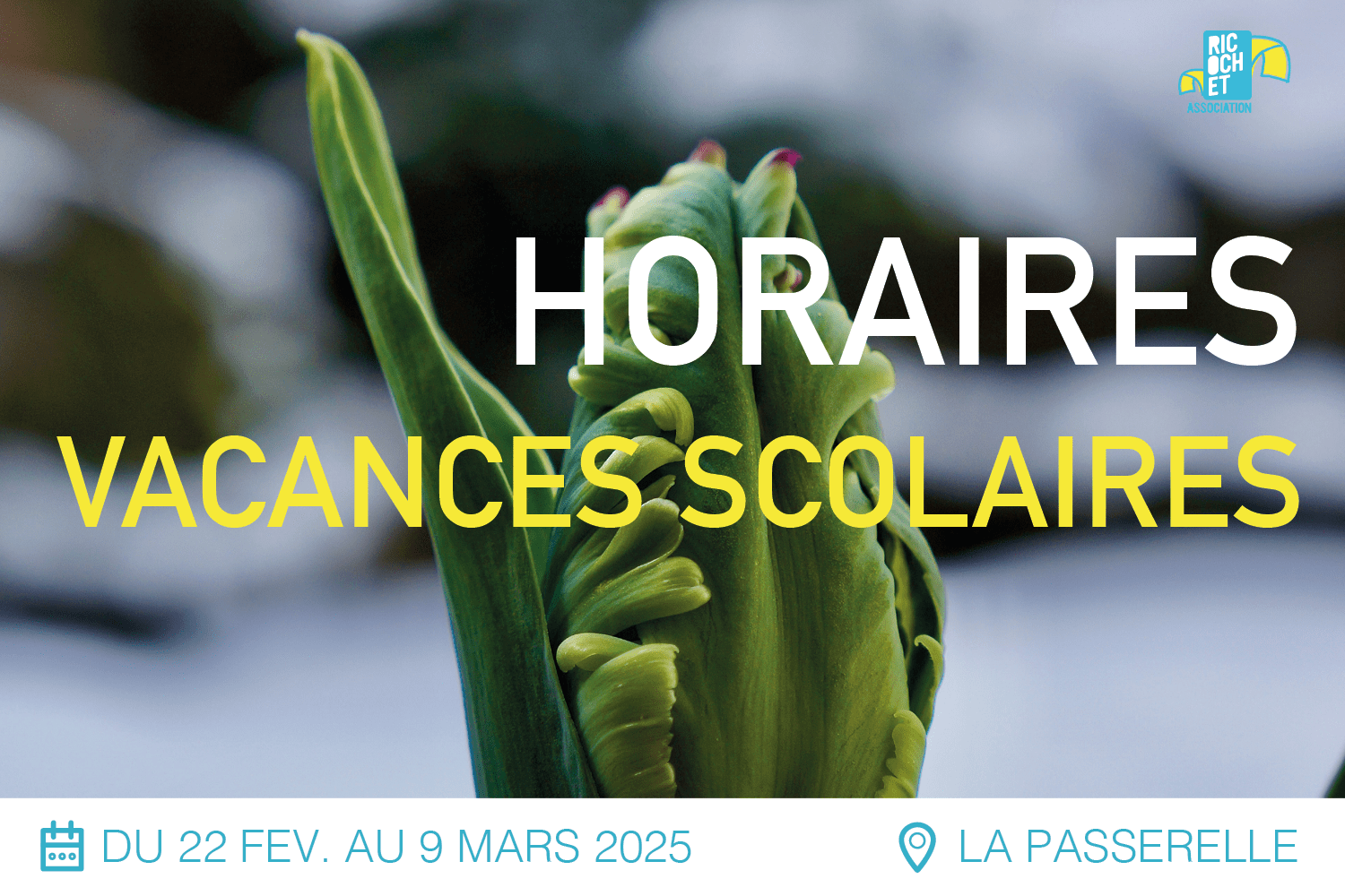 Lire la suite à propos de l’article Horaires vacances