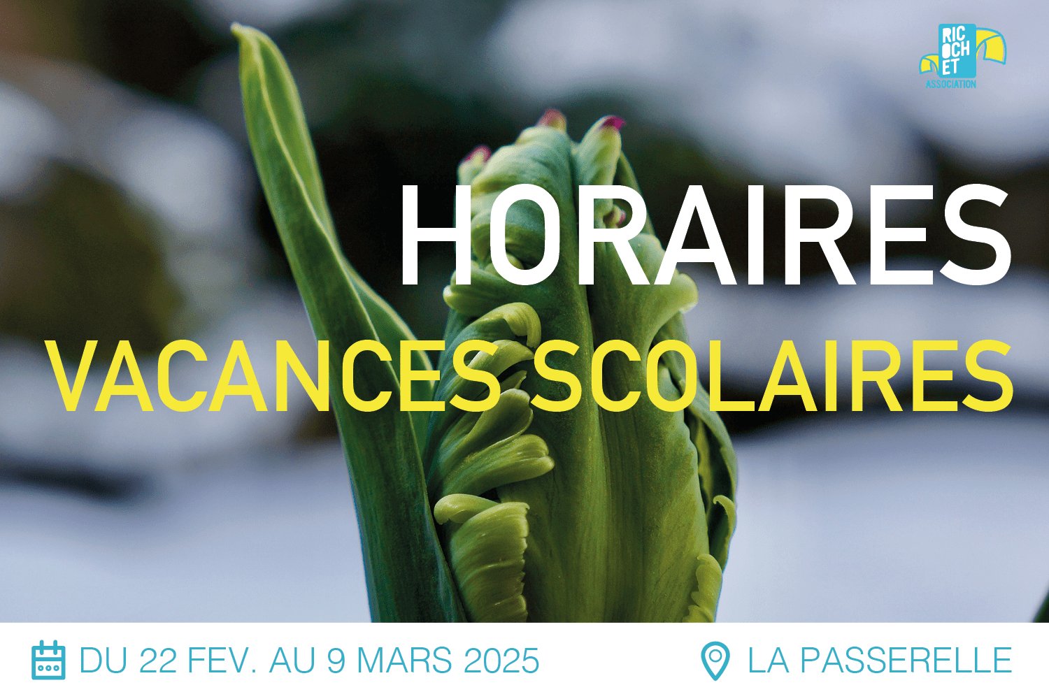 Lire la suite à propos de l’article Horaires vacances