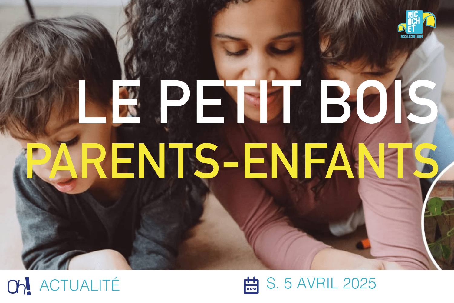 Lire la suite à propos de l’article Le Petit Bois