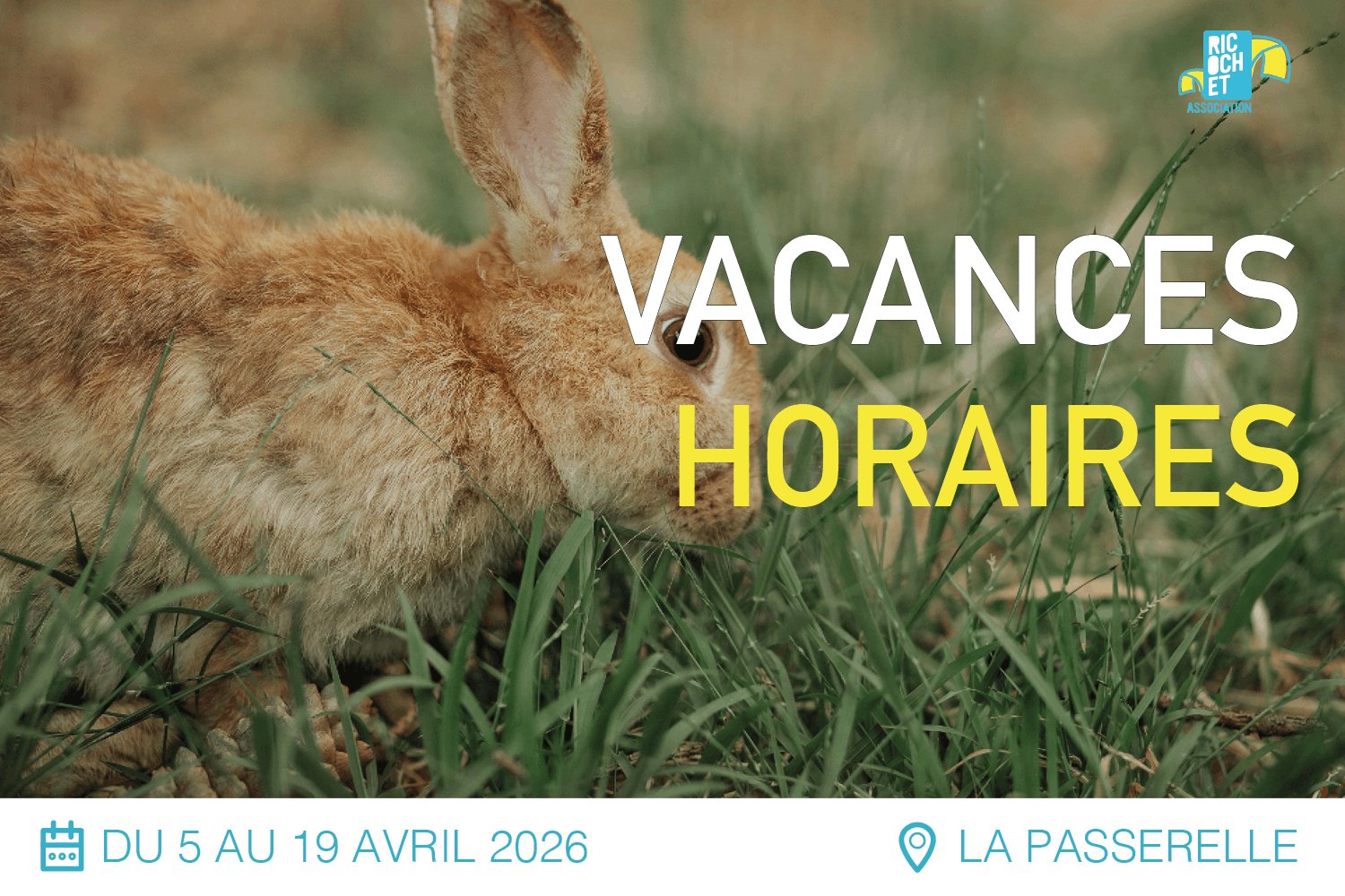 Lire la suite à propos de l’article Vacances hiver